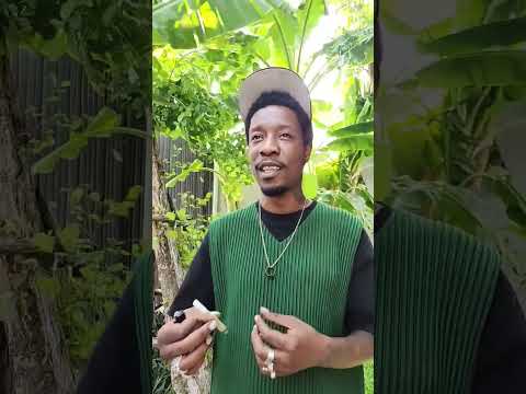 **REVIEW** THE KARMA CARTEL ZHEETOS