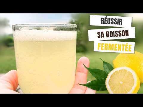 Recette Limonade pétillante au citron frais