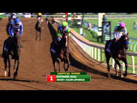 2015 Coolmore Lexington Stakes Replay