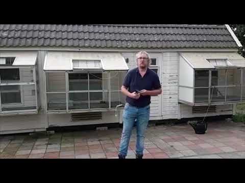 Gert Krab, Elst, 2e Kampioen Marathon Noord en Duifkampioen 2021