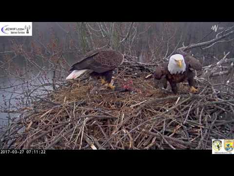 The Trio Eagles - The Dads take over - 03-27-17