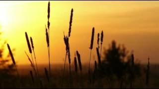 Download lagu Steve Jablonsky-Infinite White mp3