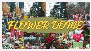 FLOWER DOME THIS CHRISTMAS SEASON