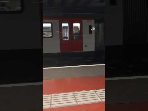 Metro Barcelona L1 Torrassa Serie 8029 Entrando