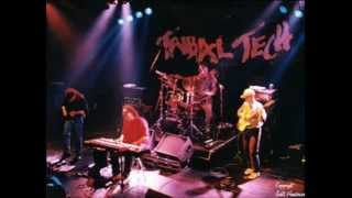 Tribal Tech - Stella by Starlight / Stella by Infra-Red High Particle Neutron Beam