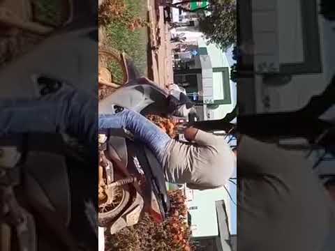 bandidos tocam o terror em Nova Bandeirantes