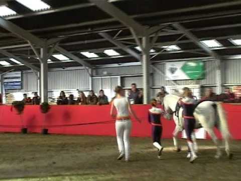 plicht wittegheit 4 in Maren-Kessel, 2008