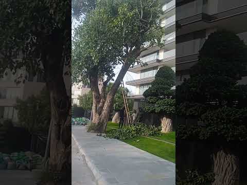 Walkthrough Walkthrough