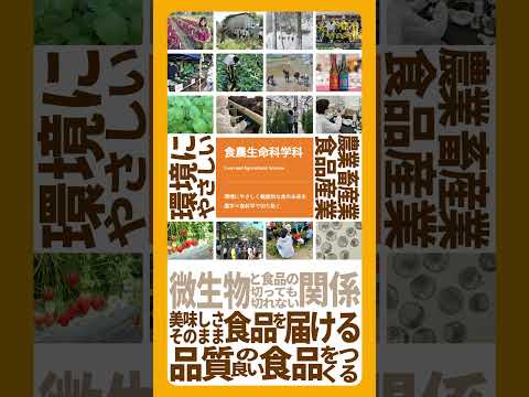 ●ぜんぶ、食農生命学科で学んでみませんか？