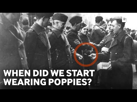 The Poppy | The history of Remembrance Day poppies