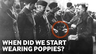 The Poppy | The history of Remembrance Day poppies