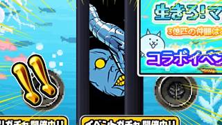 ミタナ。