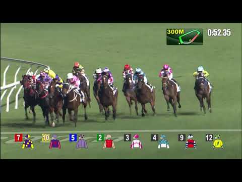 17/11/2021 (182) Party Warrior - Z Purton