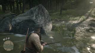 RDR 2: How to get a Perfect Cardinal for Wildlife Art Exhibition II