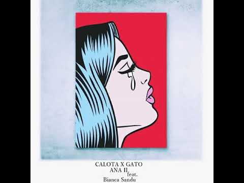 Calota X Gato - ANA 2 ( ft Bianca Sandu )