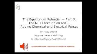 Equilibrium potential: the chemical and electrical forces on an ion part3