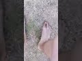 Jeff