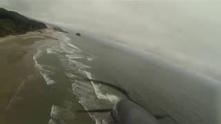 20180519 Oregon beach flight