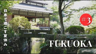 【 一時帰国🇯🇵 】離れて気づく、日本の美しさ。福岡の伝統庭園と、進化するデジタルアートを巡る夏。