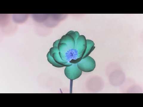 maya ongaku – Astral Echoes (Official Music Video)