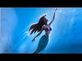 Article Of The Little Mermaid ‍ ️