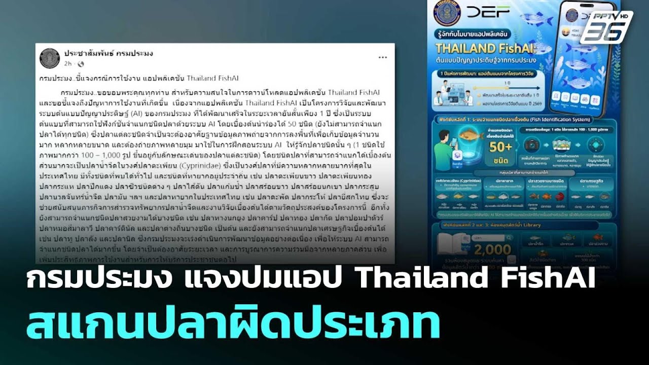 กรมประมง แจงปมแอป Thailand FishAI สแกนปลาผิดประเภท | เข้มข่า?