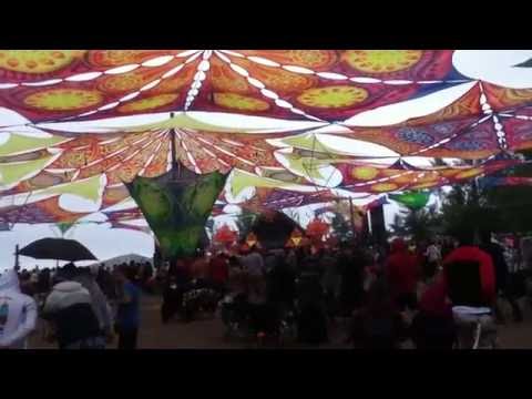 Respect Festival (2016/05/29 0719) Sychotria