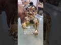 7no Unique Antique Special Laddu Gopal Ji Janmashtami Onlineshopping Viralvideo Vrindavan