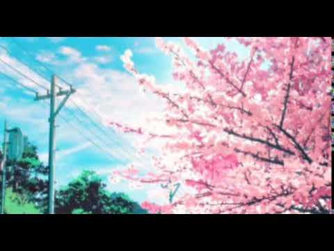 mlody eutanazja - sakura (REUPLOAD)