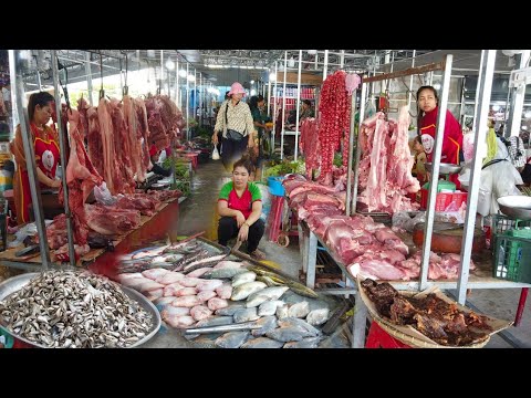 Amazing Cambodian Fresh Routine food and Market Show