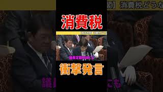 消費税 #政治 #国会 #切り抜き #政治ニュース #消費税 #減税