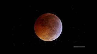 Billy Cobham (ft Gregg Kofi Brown)- Shadow