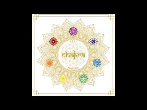 Kali x pawbeats absolut