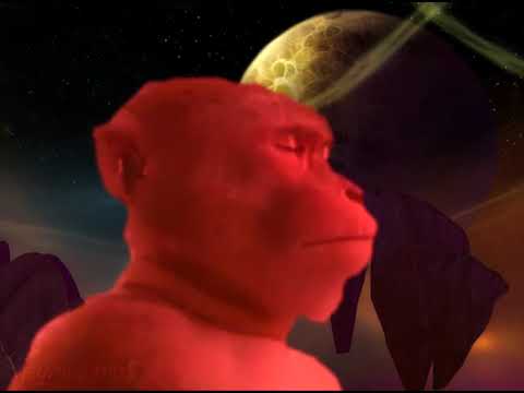 Vibing in Hellfire Peninsula at 3am