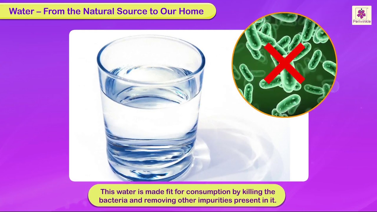 Water - The Elixir of Life | Science for Kids | Grade 3 | Periwinkle