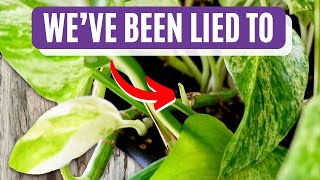 Mind-Blowing Plant Growth Discoveries + Other Unexpected Plant Updates