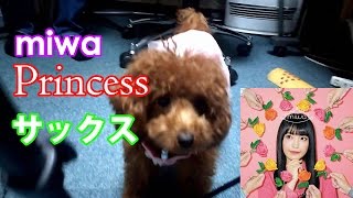 Princess (miwa) Alto Saxophone Cover