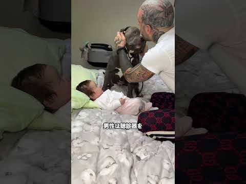 娘の心音を聞かせてあげたら… 犬の反応が尊すぎた