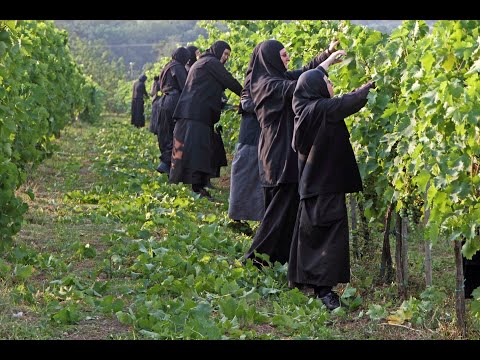 Манастир Жича - историја и живот у Манастиру