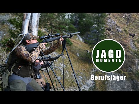 THE PROFESSIONAL HUNTER | Chamois hunting in the Bavarian mountains