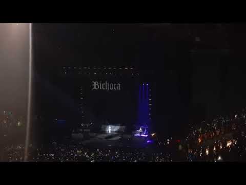 La #mosca con #karolg #argentina #arena #concerts (4)