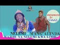 NELEMI MBASANDO FT MANG ALIDA NELEMI AMJIBU LIMBU LUCHAGULA 0613486430