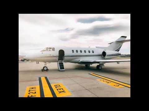 MC DOGUIN (Rihanna) dogs Cia