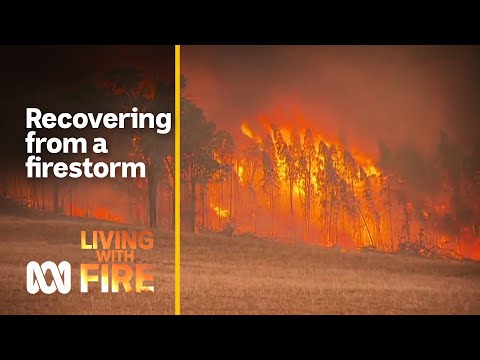 Recovering from a firestorm in regional Australia | Living with Fire #4 | ABC Australia