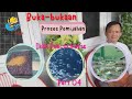 Buka Bukaan Proses Pemijahan Ikan Peacockbass Part 04 Tindakan Pasca Pijah Sampai Siap Jual Panen