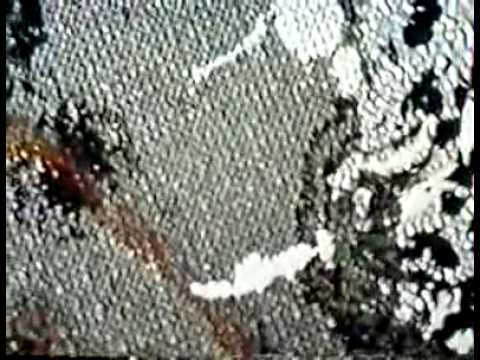 認識jackson Pollock 他與滴畫風格繪畫有其自身的生命 香港01 生活時尚 認識jackson Pollock 他與滴畫風格繪畫有其自身的生命 香港01 生活時尚