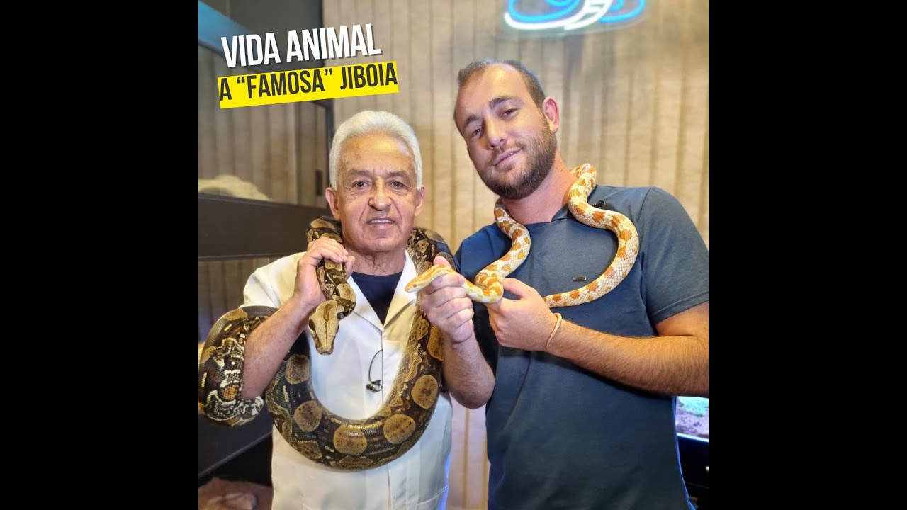 Vida Animal: Salomão visita as cobras de estimação do cachoeirense Leonardo Sanmartin