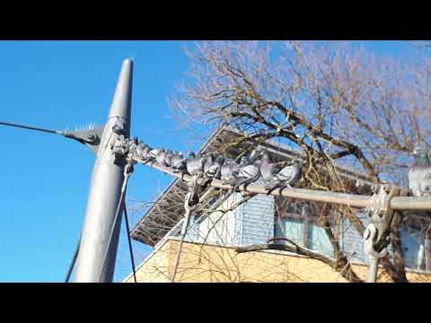 Exo - Marburg an der Lahn