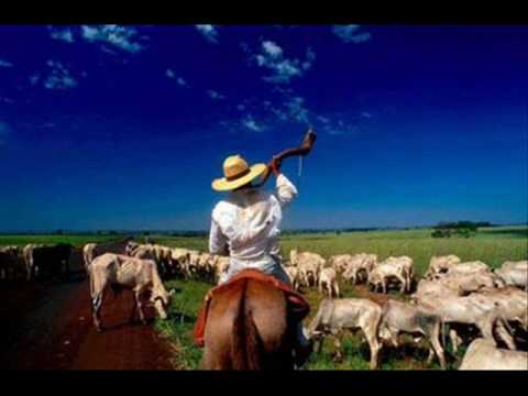 LUIZ FERNANDO E JOÃO PINHEIRO - A ULTIMA BOIADA