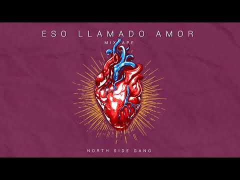 North Side Gang - Lo que me deprime. (Zaak).